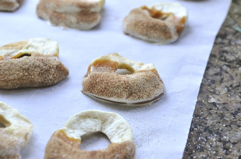 Apple Pie Caramel Apple SLices