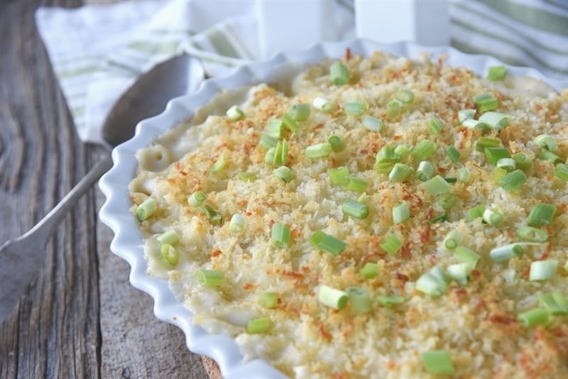 Baked Macaroni & Cheese with panko crust