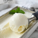 scoop of vanilla ice cream