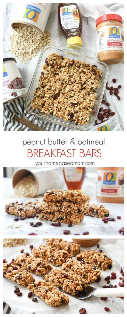 Peanut Butter & Oatmeal Breakfast Bars - C