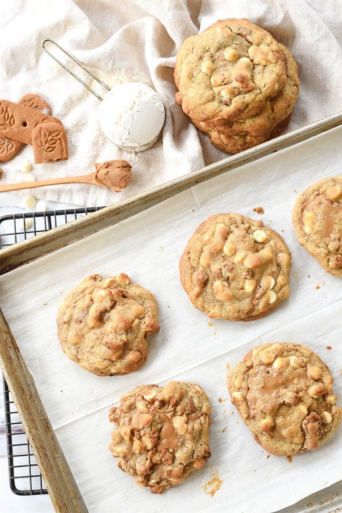 Cookie Butter Chocolate Chip Cookies