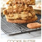 Cookie Butter Chocolate Chip Cookies