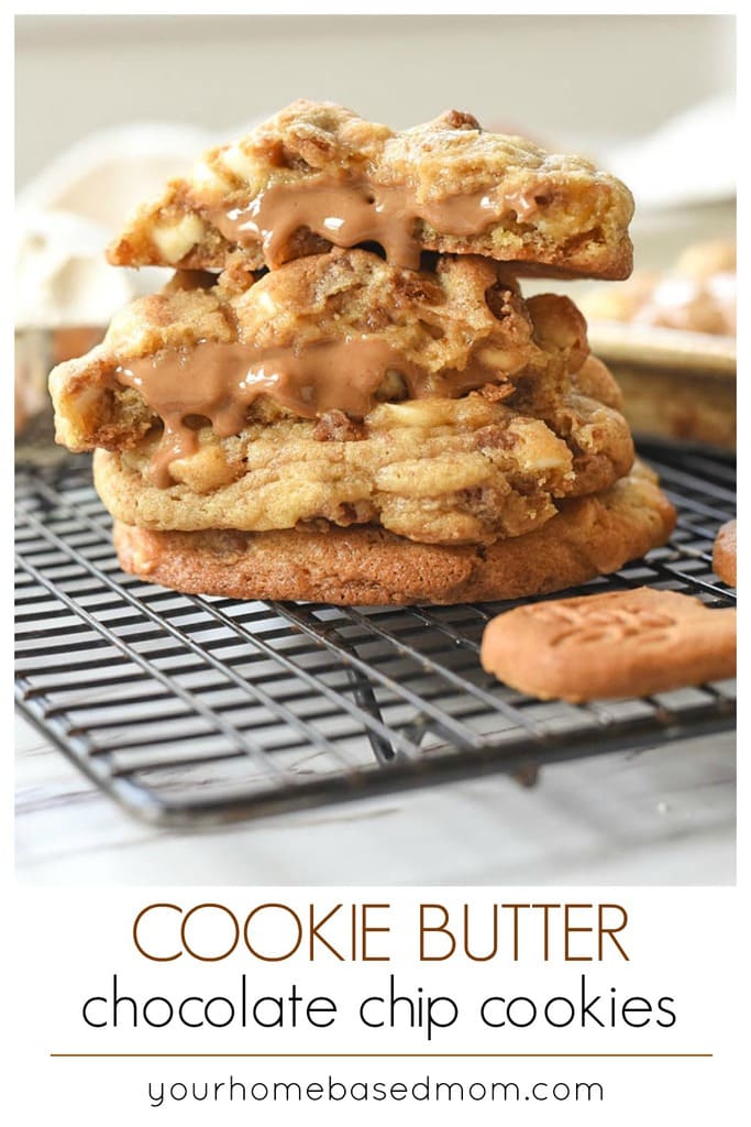 Cookie Butter Chocolate Chip Cookies