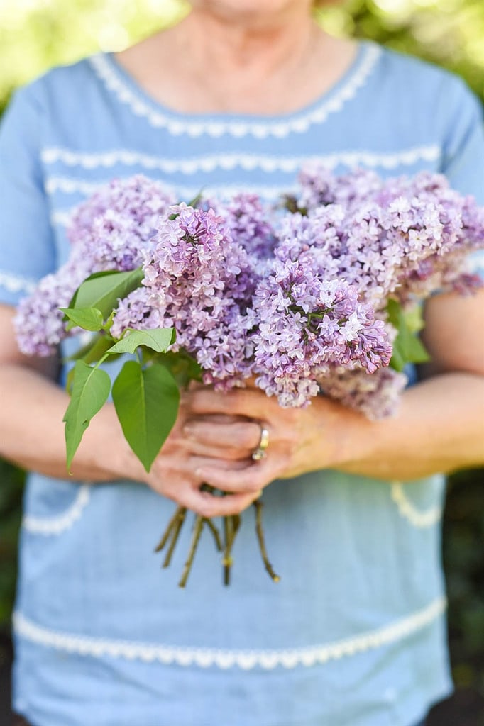 Spring Cleaning Tips