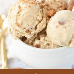 Cookie Butter Ice Cream Recipe