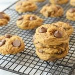 Pumpkin Chocolate Chip Cookies