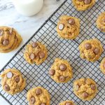 Pumpkin Chocolate Chip Cookies