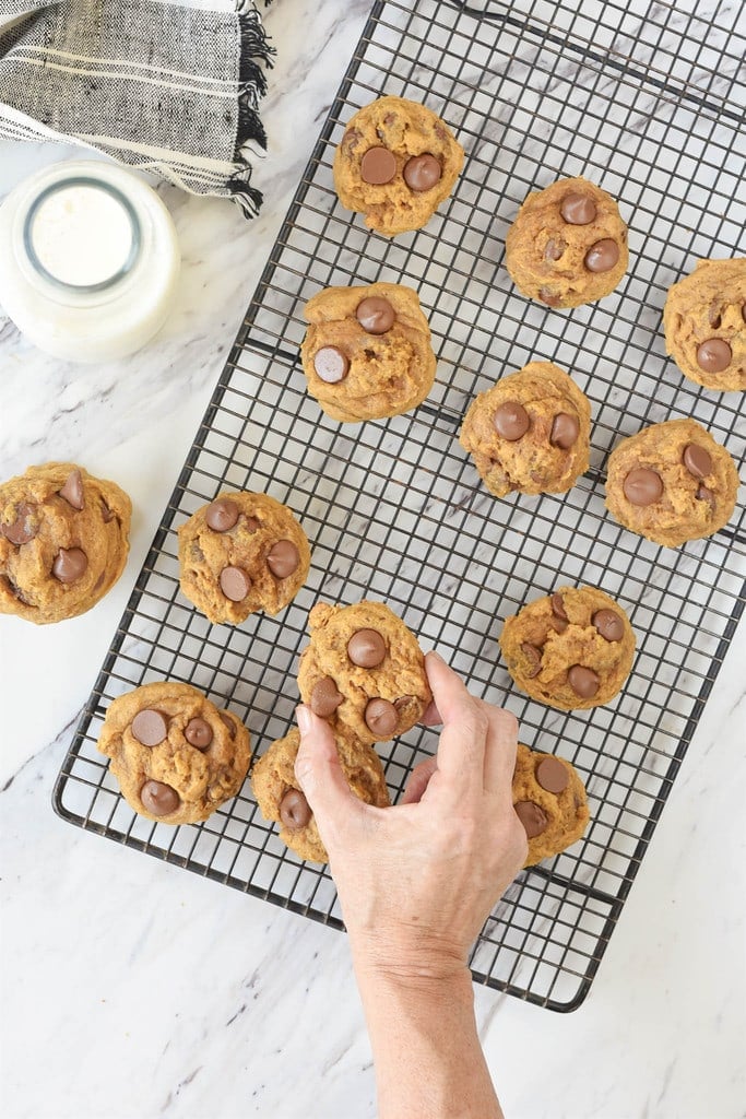 hand picking up pumpkin chocolate chip cookies 