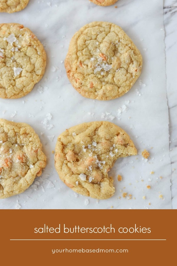 Salted Butterscotch Cookies 