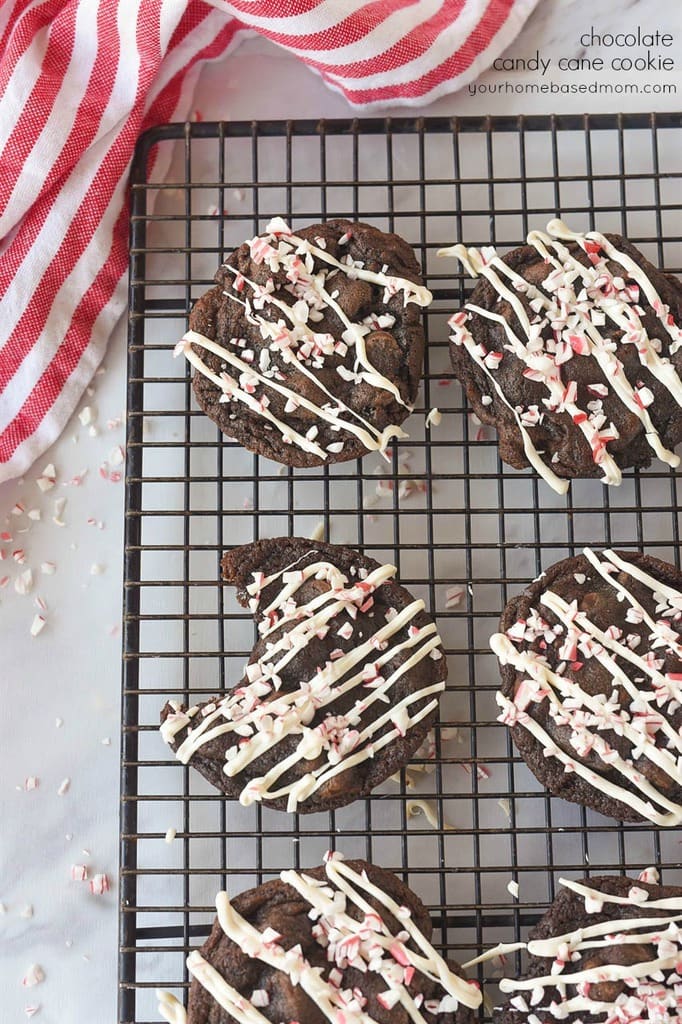 Chocolate candy cane cookies