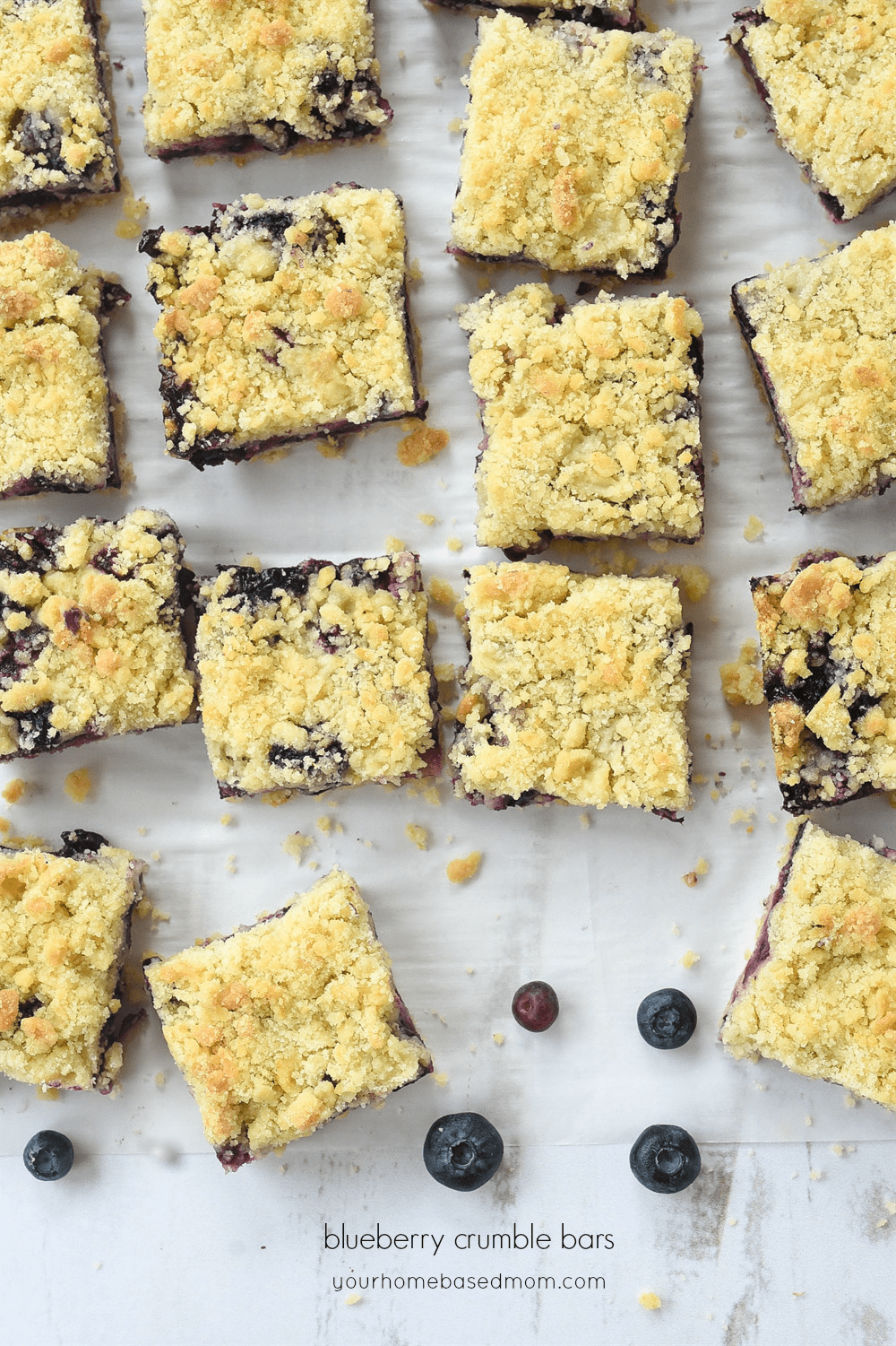 blueberry crumble bars cut into squares