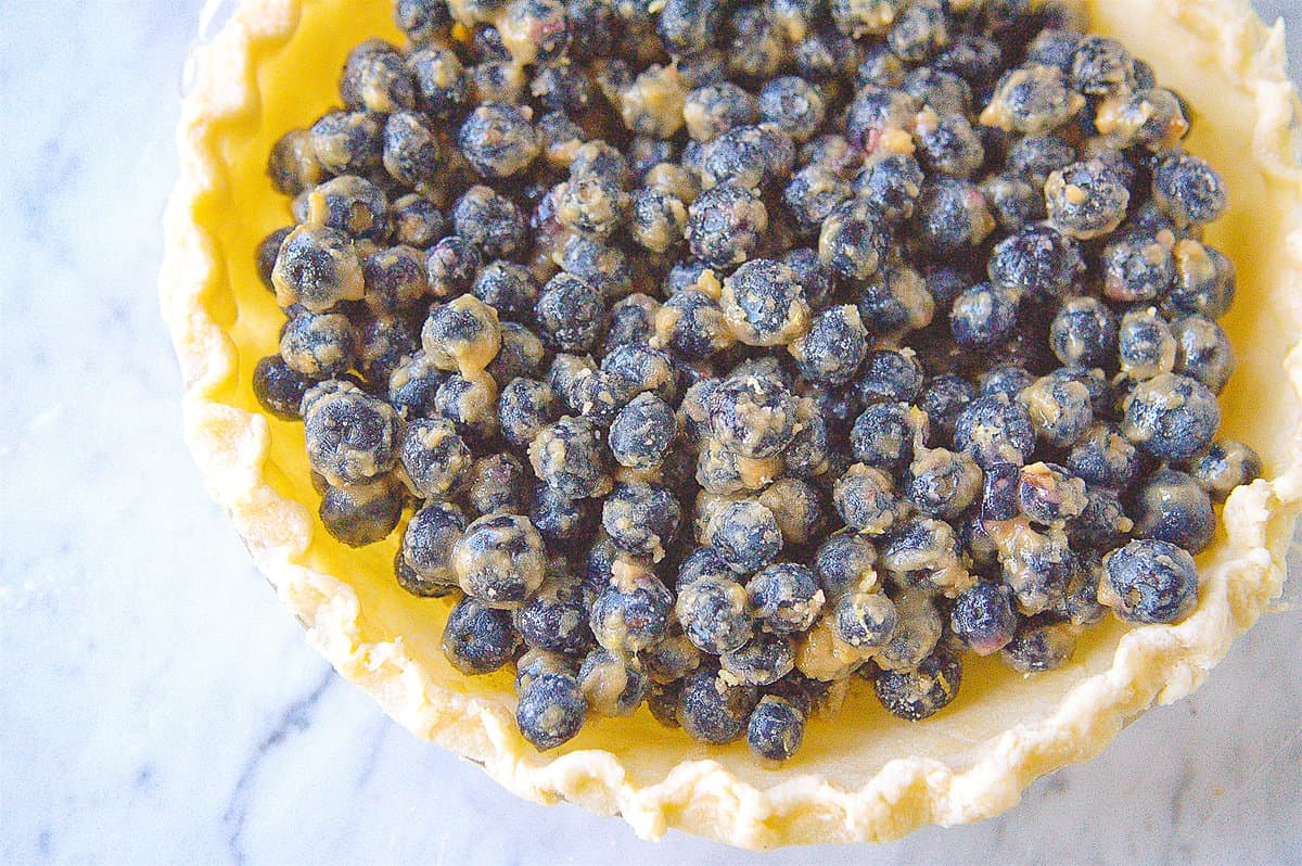 blueberries in a pie crust