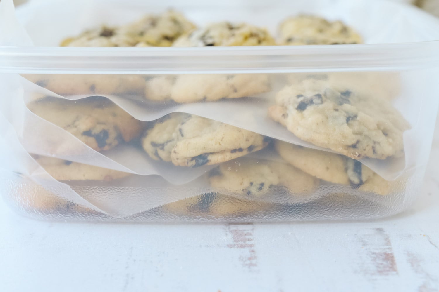 Cookies in a freezer container.