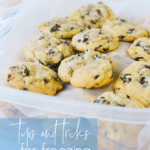 frozen cookies in a container