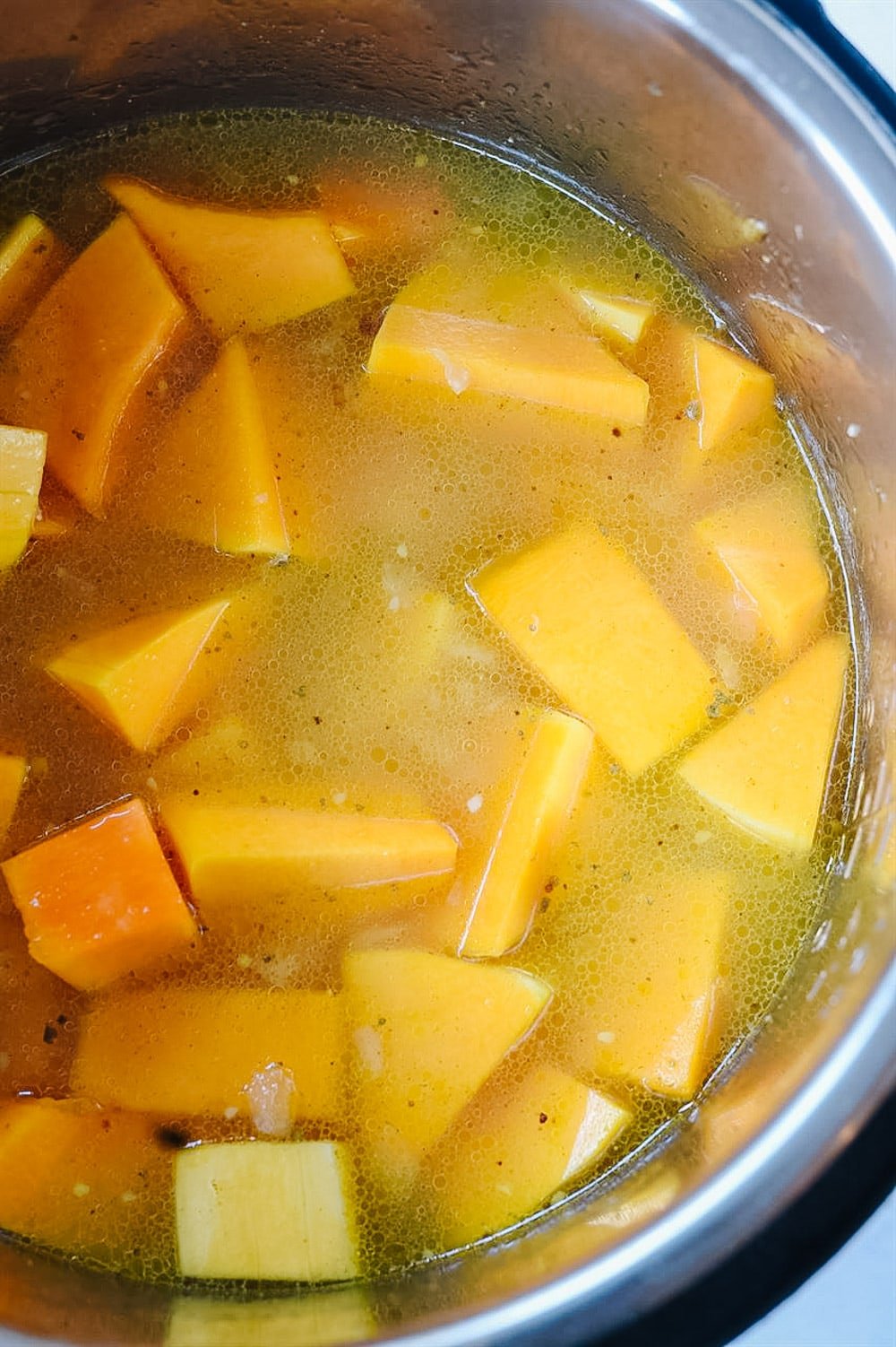 Instant Pot of squash soup