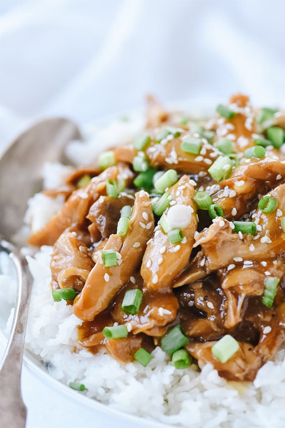 crock pot teriyaki chicken