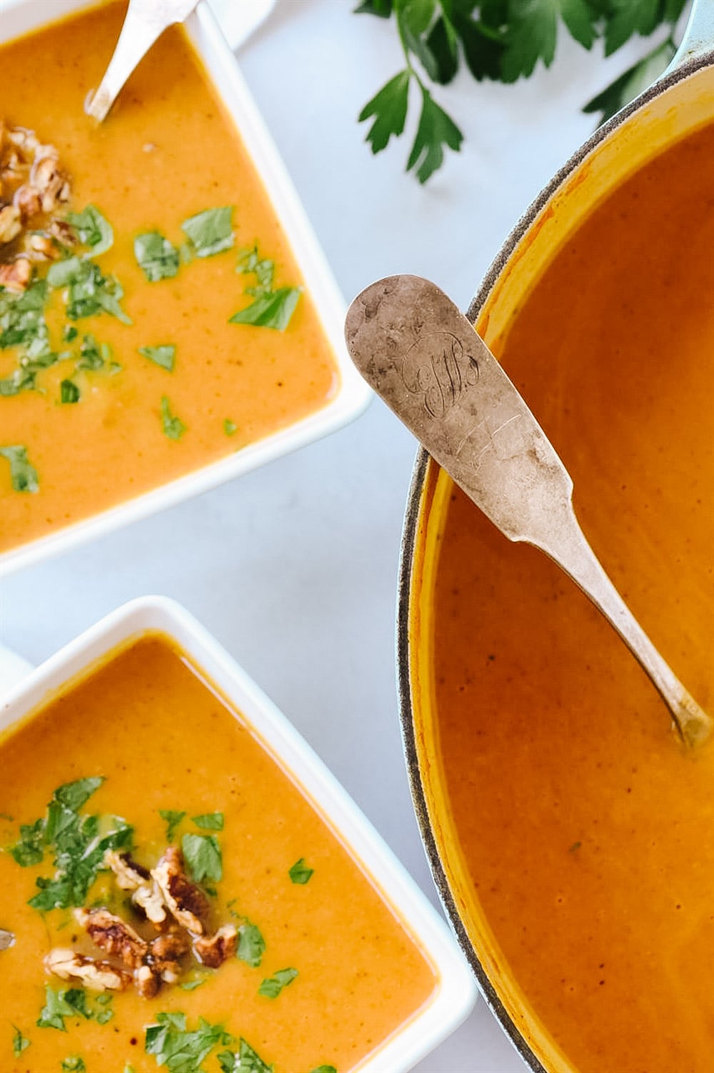 pan of vegetable soup