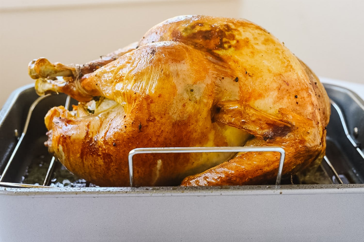 roasted turkey in a roasting pan