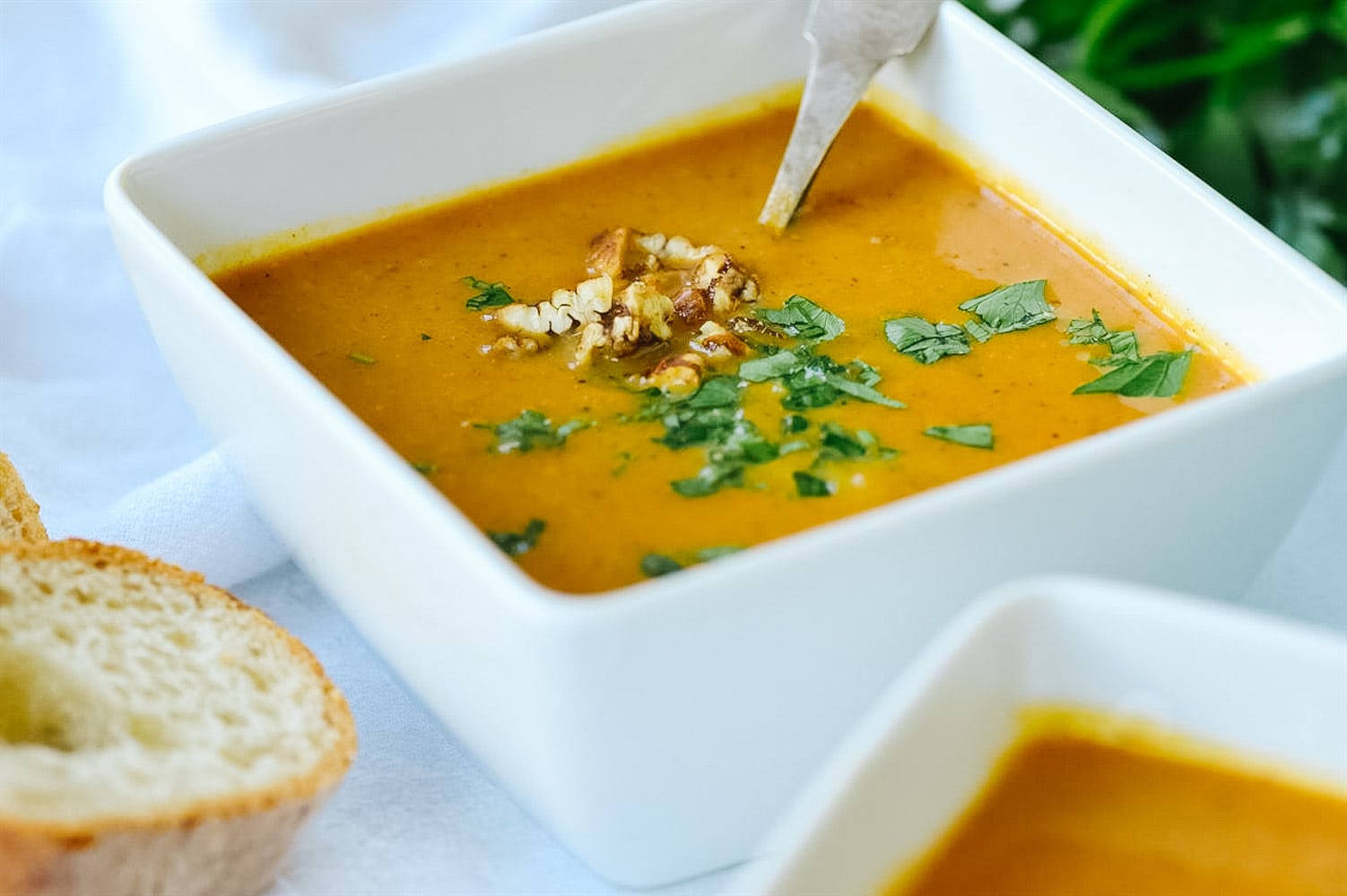Pumpkin Vegetable soup with parsley on top