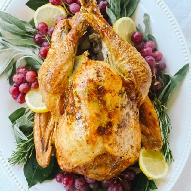 overhead view of a turkey on a platter.