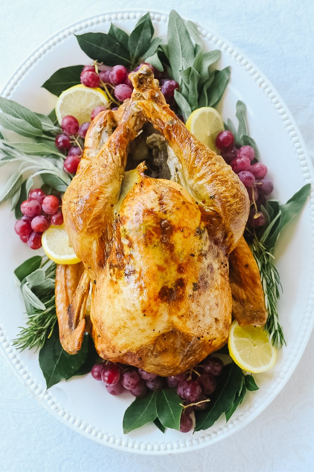 overhead view of a turkey on a platter.