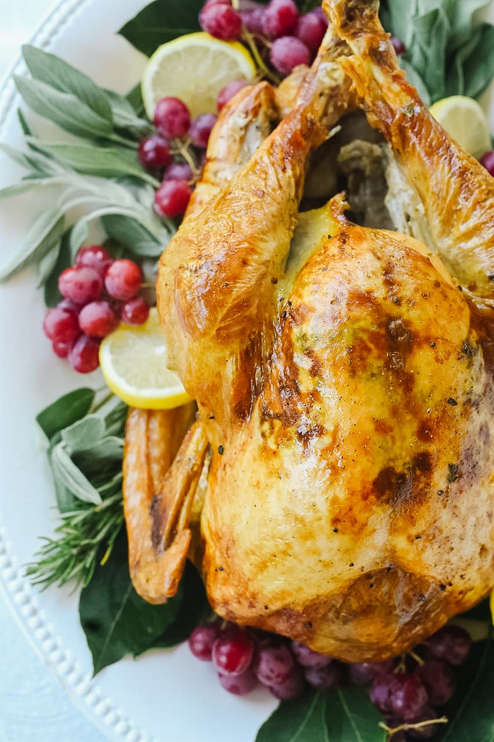 Turkey on a platter