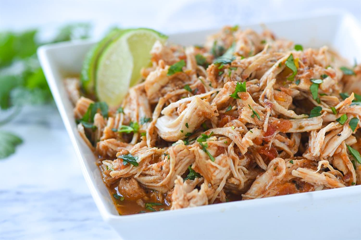 closeup of shredded mexican chicken