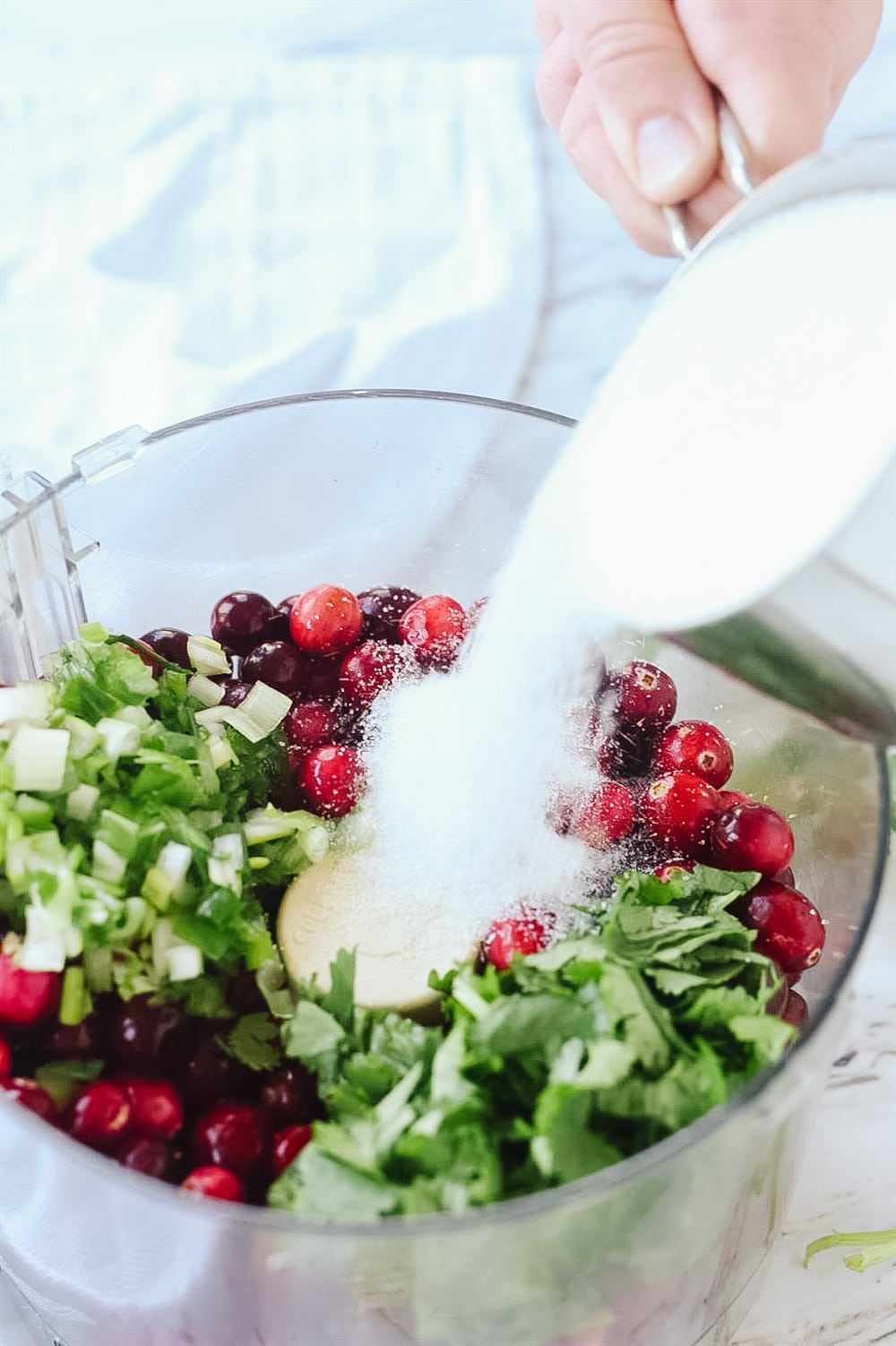 cranberry salsa in the food processor