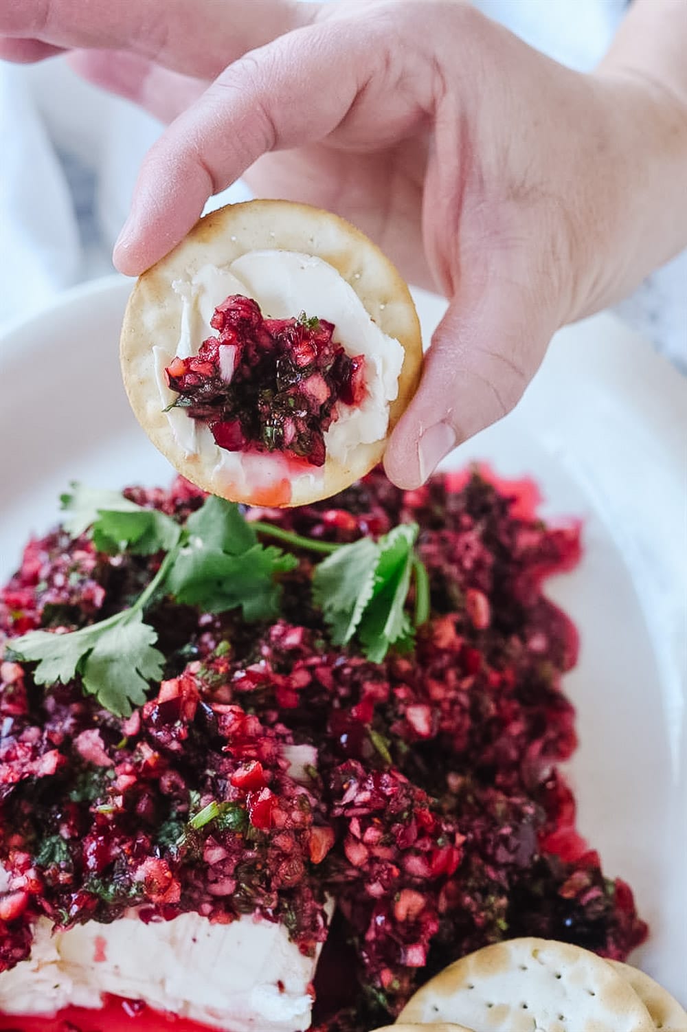 Cranberry salsa on cracker