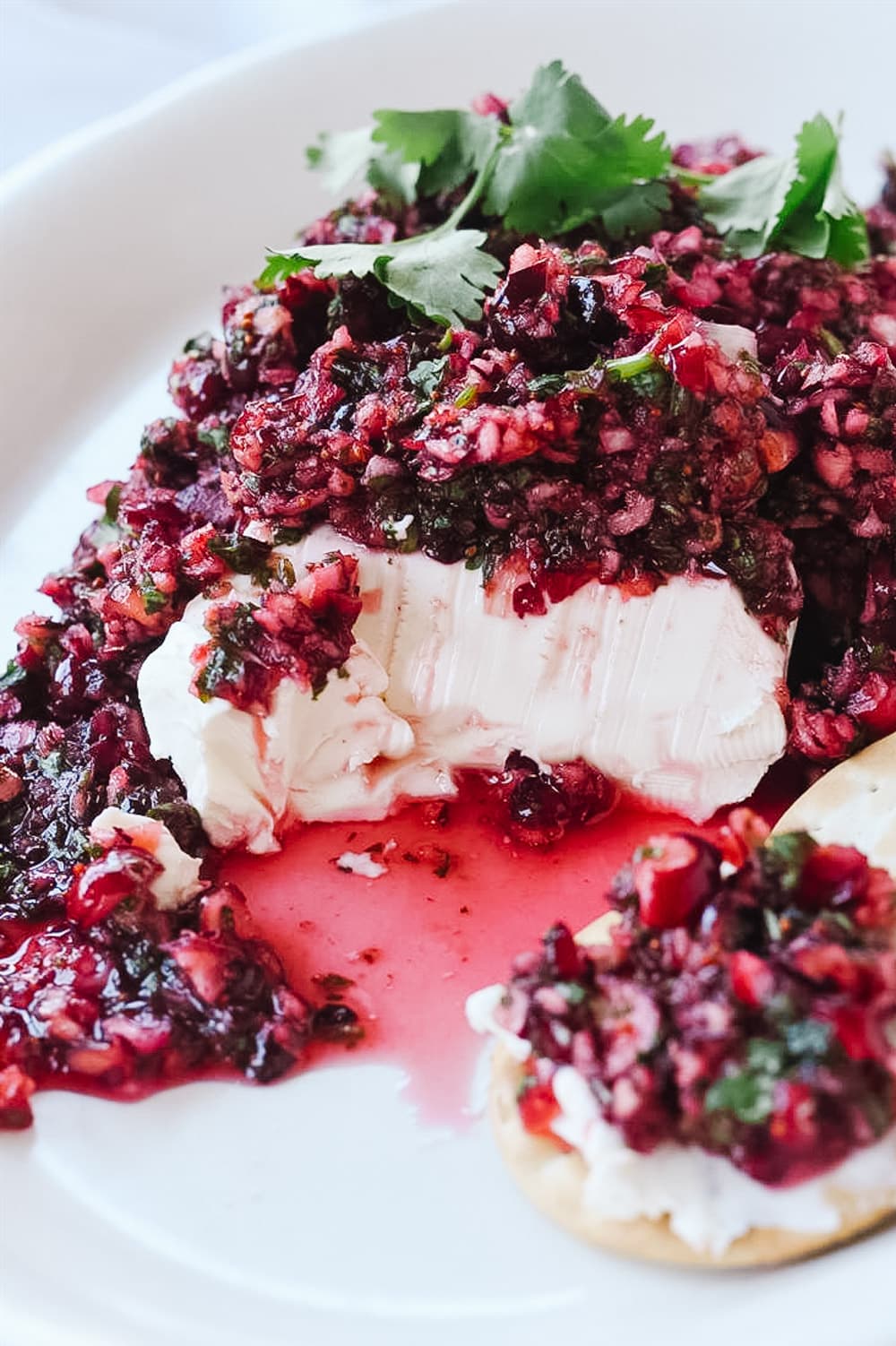 cranberry salsa Cranberry salsa up close