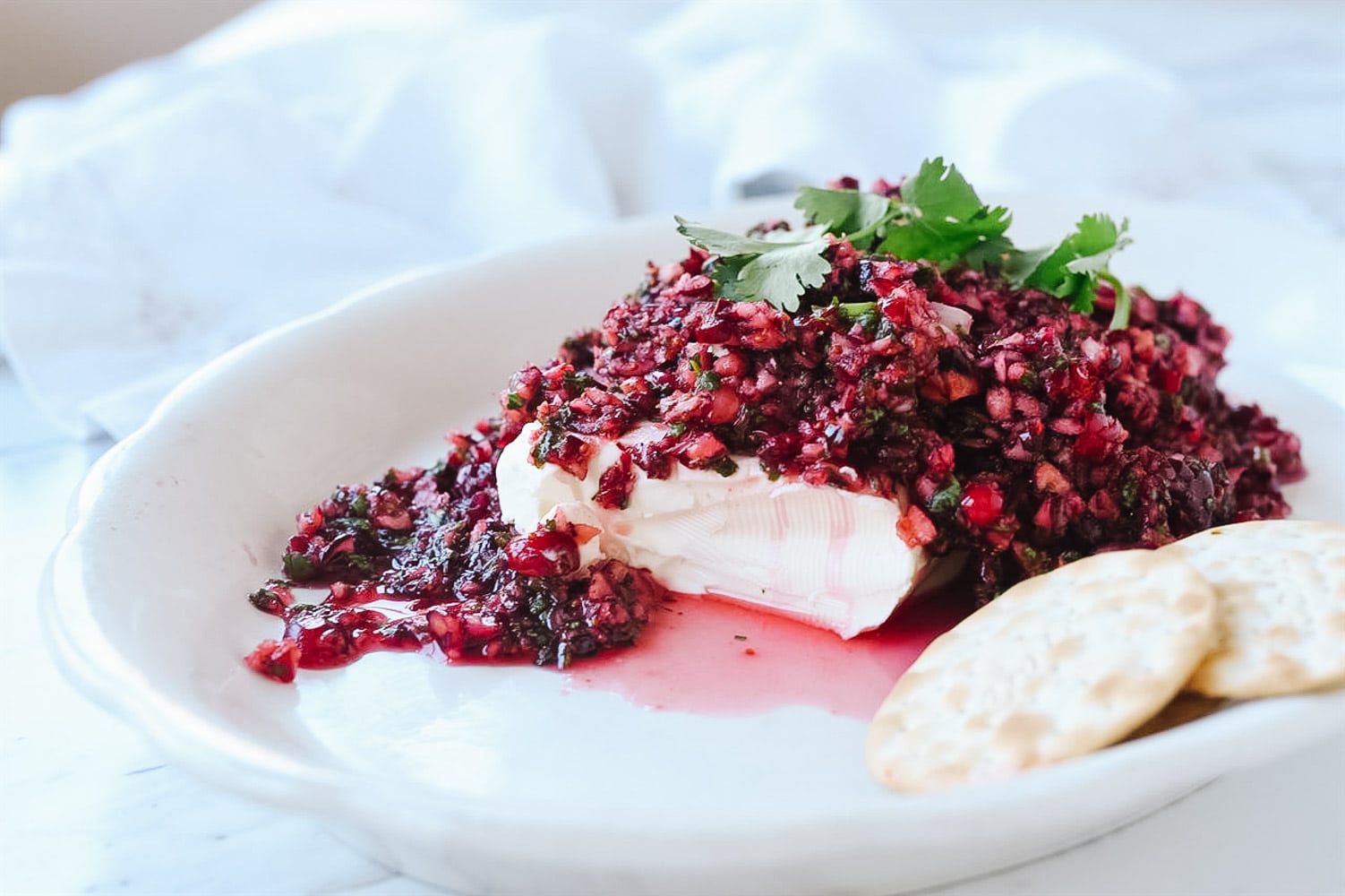 Cranberry salsa on a plate