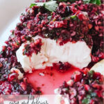 cranberry salsa over cream cheese with cracker