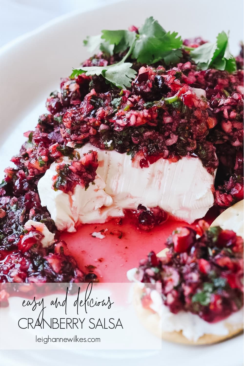 cranberry salsa over cream cheese with cracker