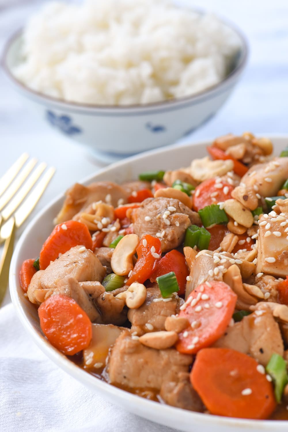 chicken cashew nut stir fry in a bowl with rice