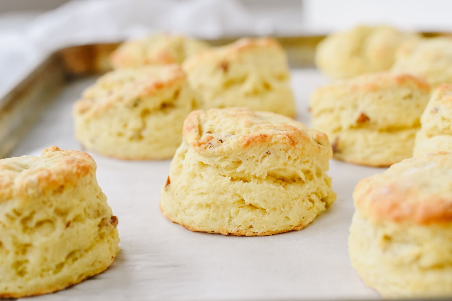 sour cream biscuits on a cookie sheet