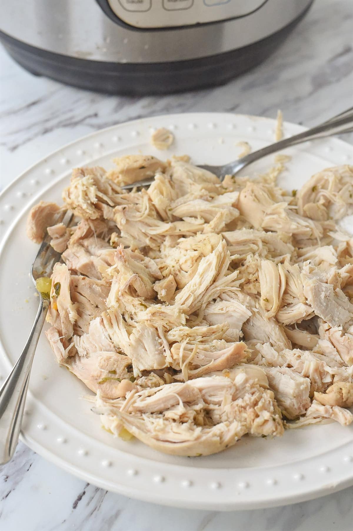 shredded chicken on a plate.