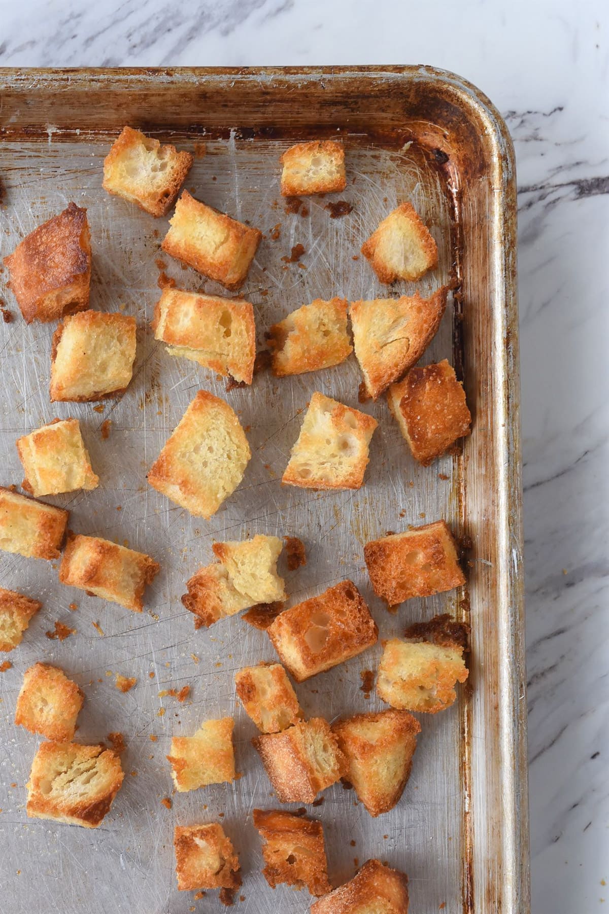 toasted gbread for panzanella salad