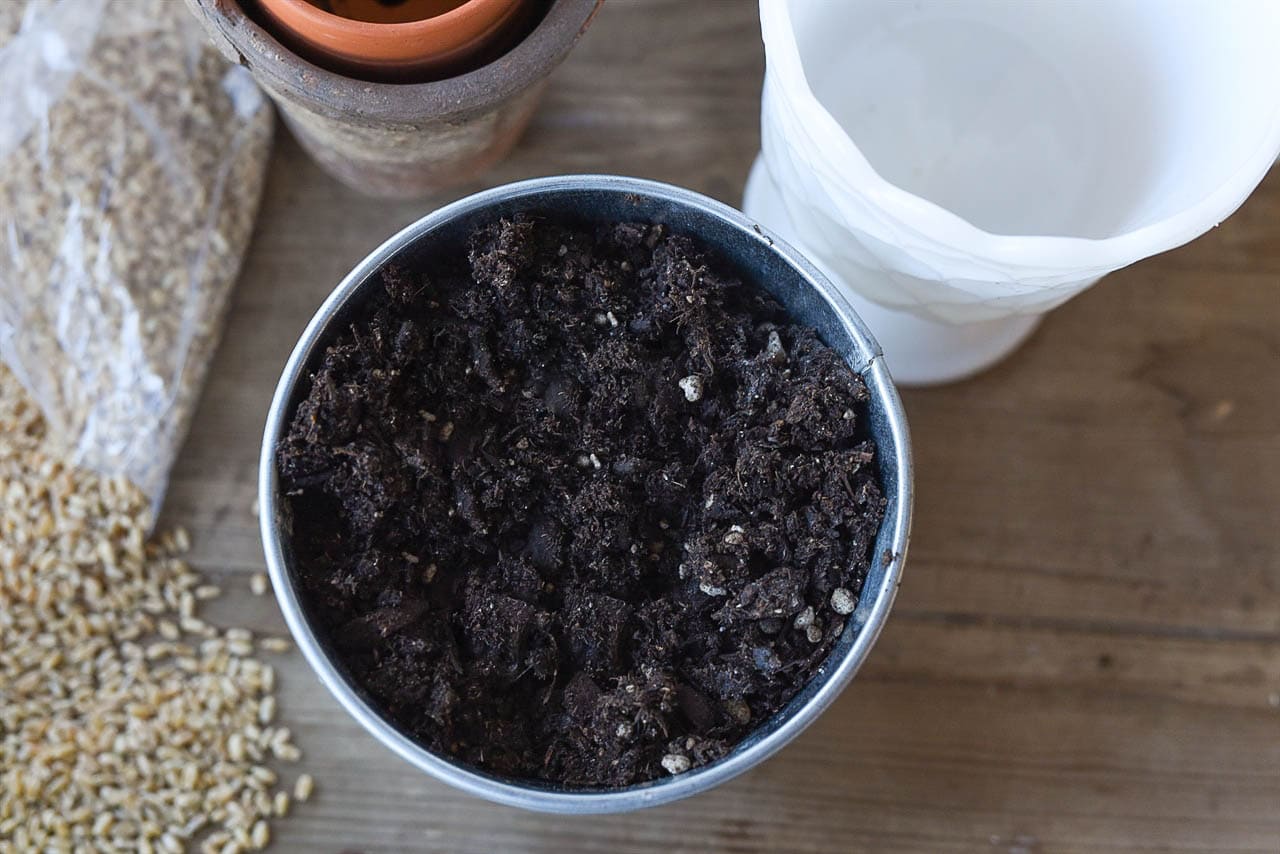 dirt in container