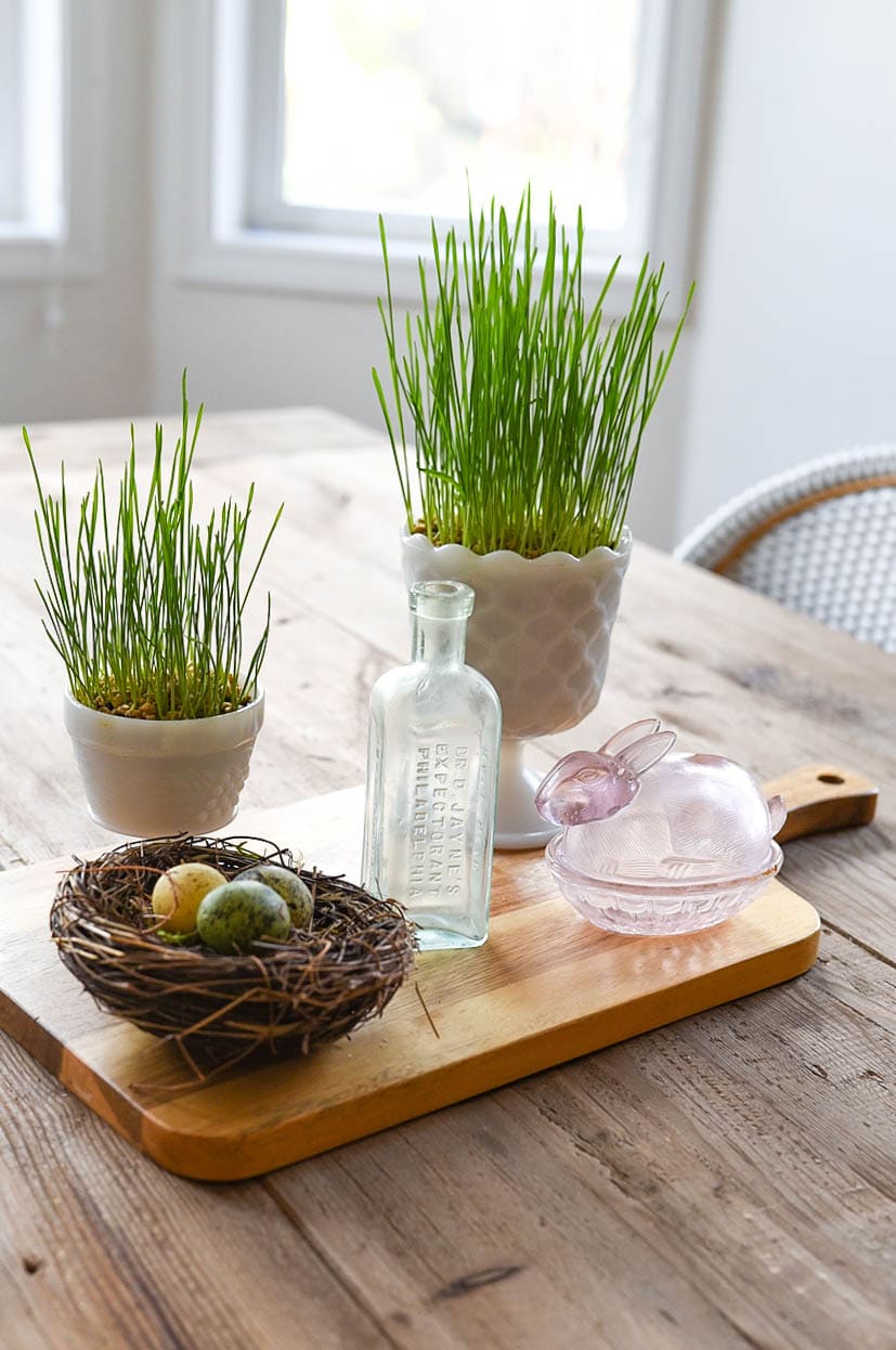easter grass on table