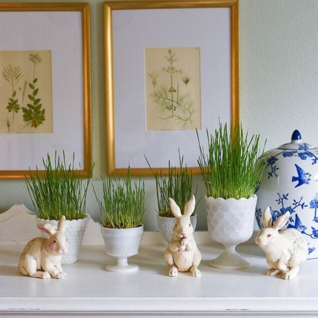 easter grass and bunnies
