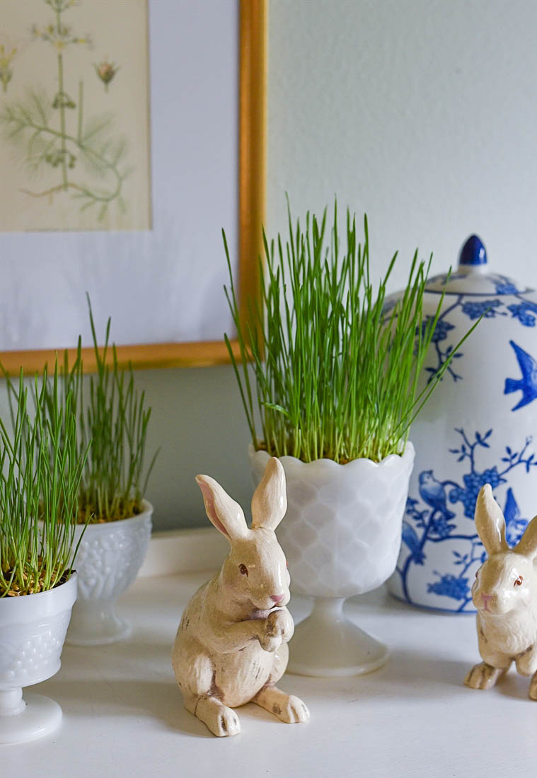 easter grass in a container