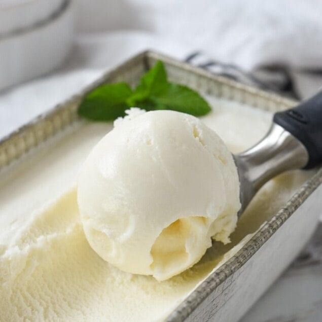 scoop of vanilla ice cream