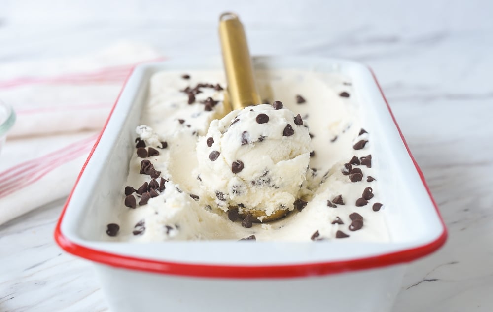 scoop of chocolate chip ice cream