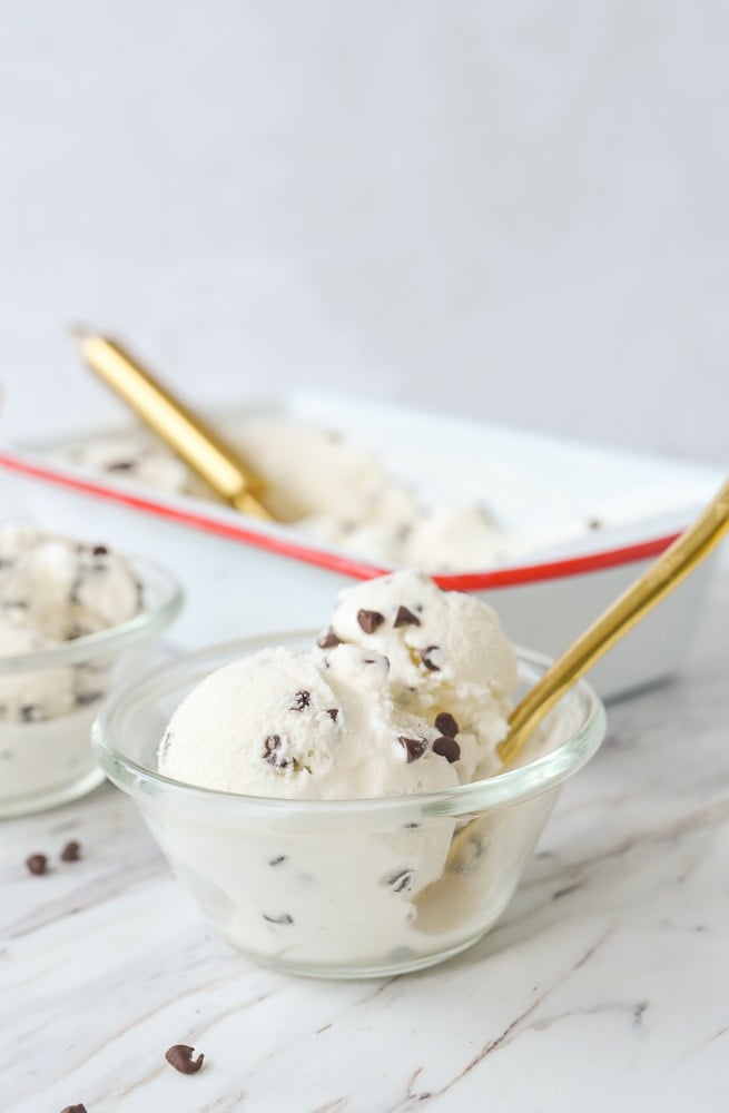 bowl of chocolate chip ice cream