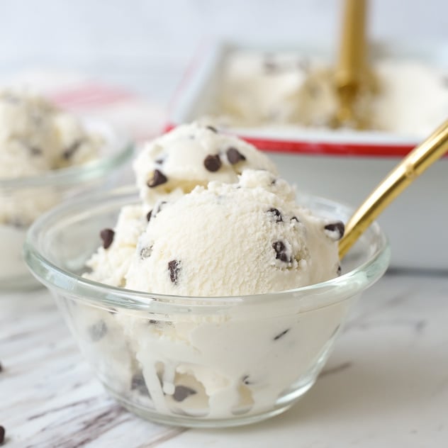 Chocolate Chip Ice Cream