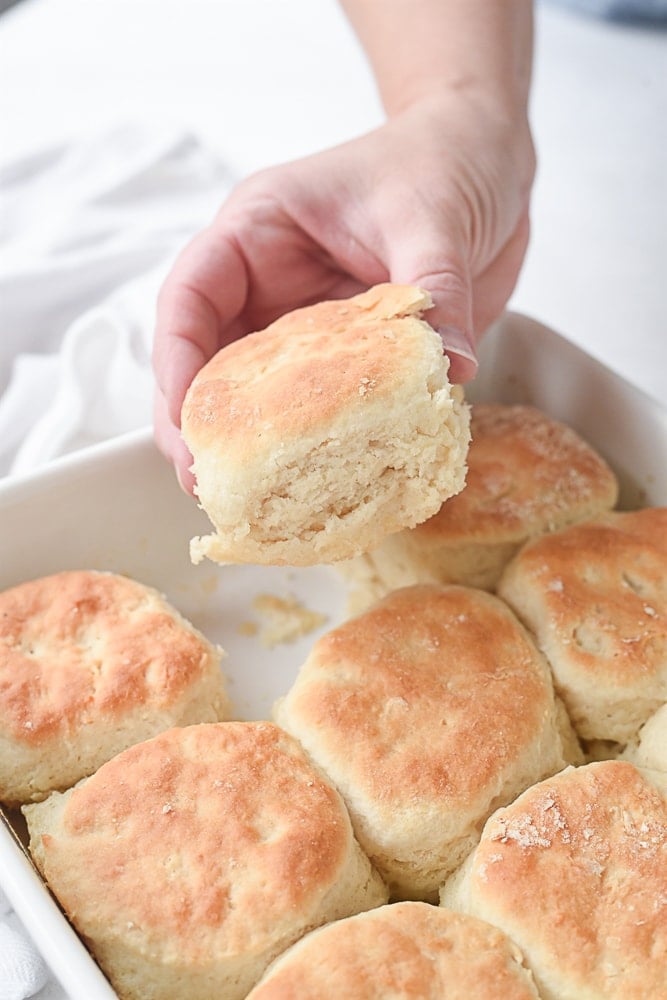 hand holding a biscuit