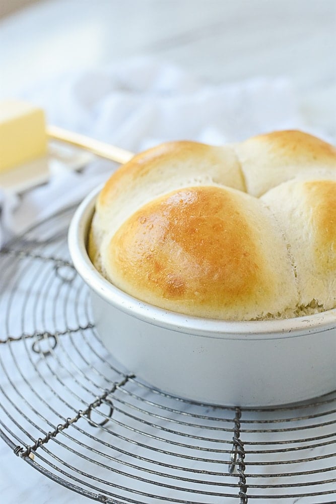 dinner rolls in a pan