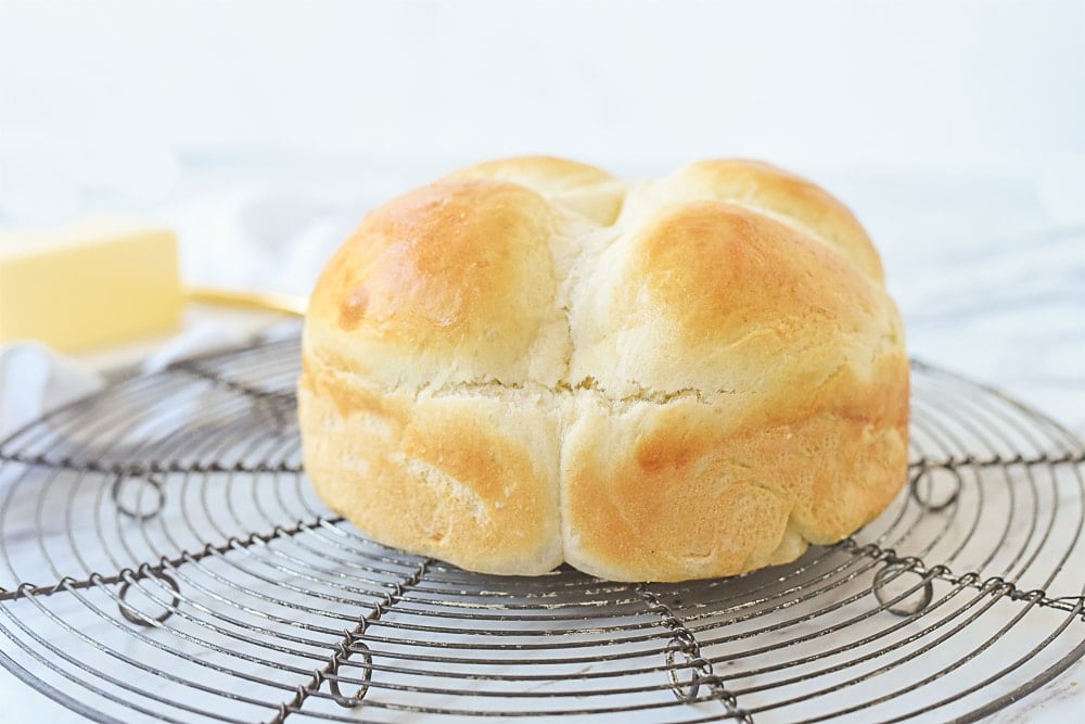 Small Batch White Dinner Rolls Recipe