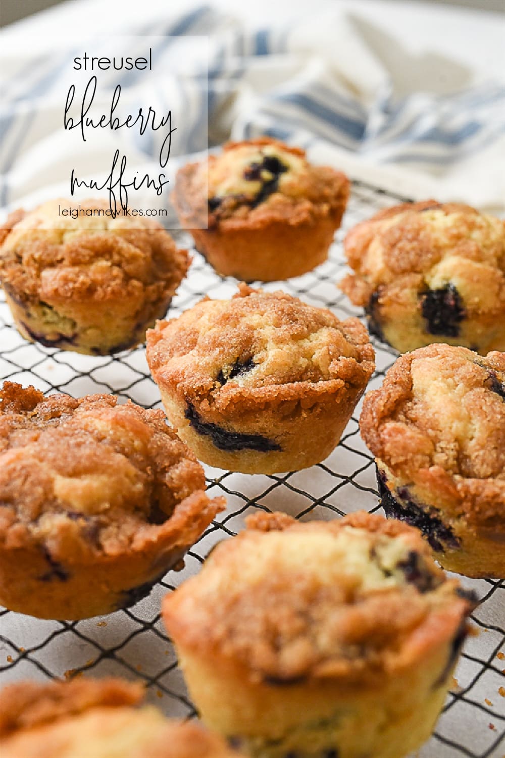 Blueberry Muffin Recipe Leigh Anne Wilkes