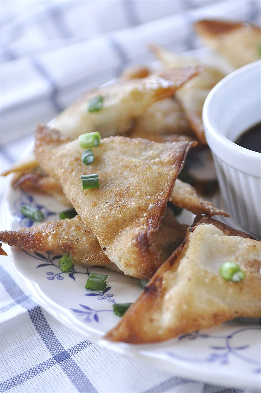 Chicken Potstickers Recipe | by Leigh Anne Wilkes